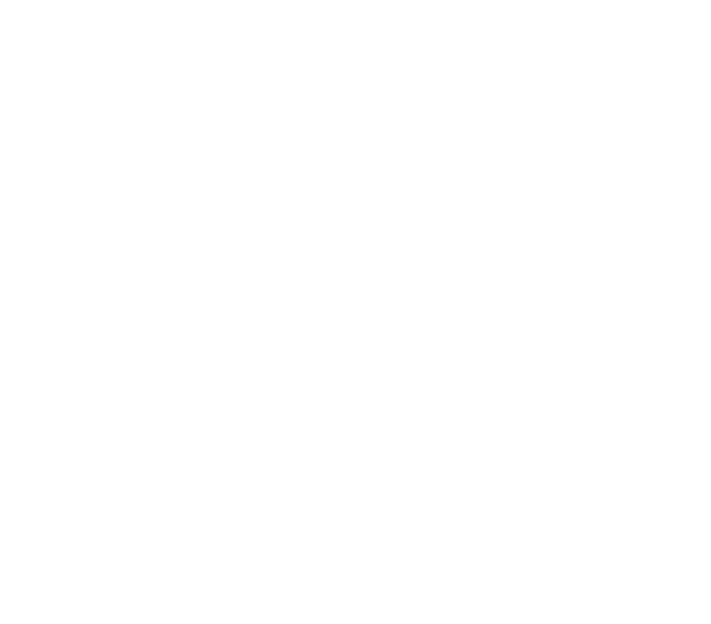 ARCH — Atelier Claus Radler